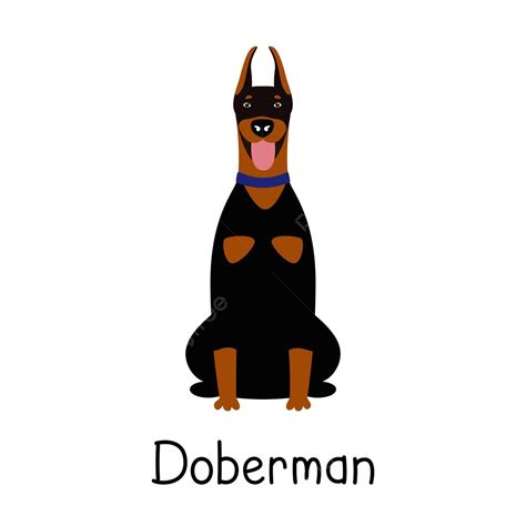 Vector Lindo Perro Doberman Pinscher Perro Personaje De Dibujos Animados Vector Png Perro