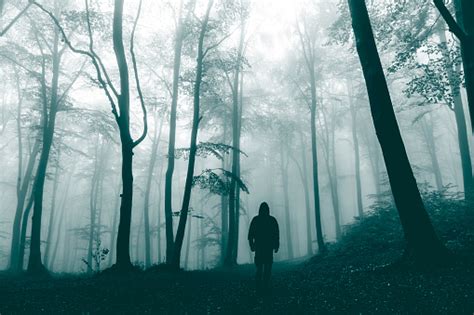 Dark Horror Man In Creepy Foggy Forest Stock Photo Download Image Now
