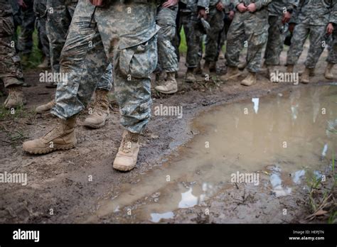 Us Army Reserve And National Guard Combat Engineer Teams From Across