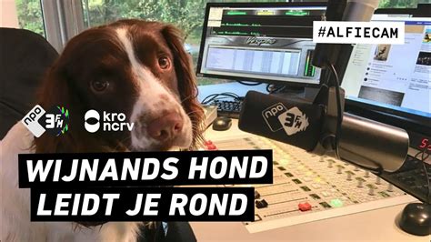 Alfie Geeft Je Een Tour Door De 3FM Studio Weekend Wijnand 3FM