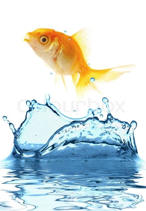 Fish Jumping Out Of Water Drawing At Getdrawings Free Download