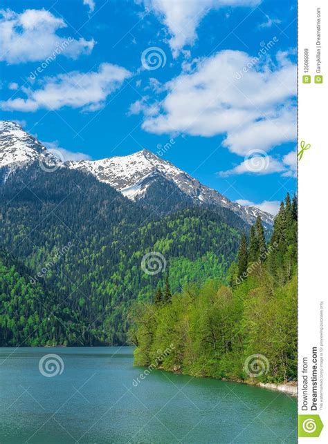 Beautiful Lake Ritsa In The Caucasus Mountains Green Mountain Hills
