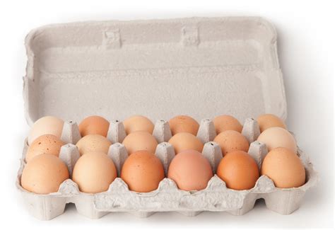 Eggs Case 18 Pcs Brown —