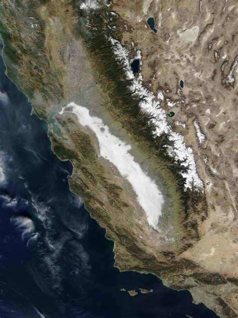 Dense Fog In Central California
