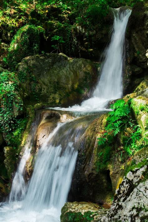 Clear Waterfall In Green Forest Beautiful Nature Landscape Stock Image