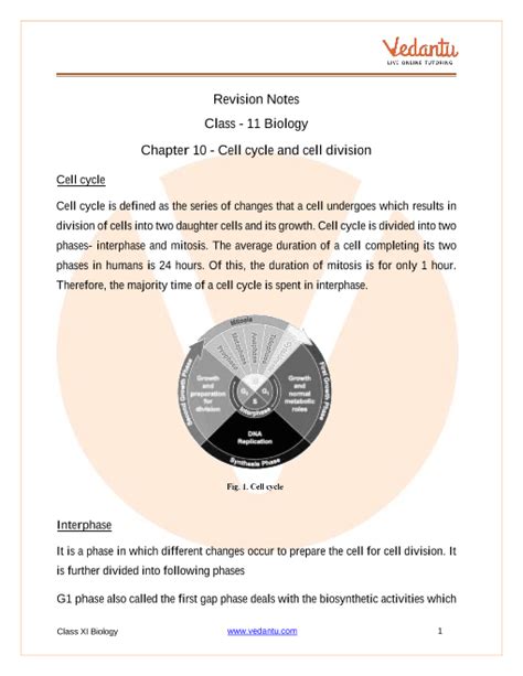 Cell Cycle And Cell Division Class 11 Notes Cbse Biology Chapter 10 Pdf