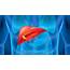Immunotherapy Drug Opdivo Approved For Advanced Liver Cancer  Everyday