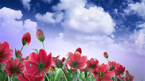 Some, such as this first example, are commonly grown in containers by northerners. Red and pink flowers - wonderful nature