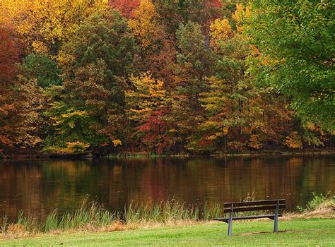 Wallpaper Forest Lake Nature Reflection Bench River Wilderness