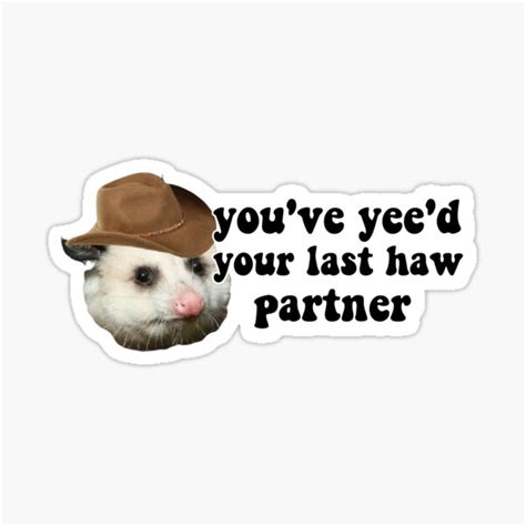 Cowboy Possum Youve Yeed Your Last Haw Partner Possum Memes Funny