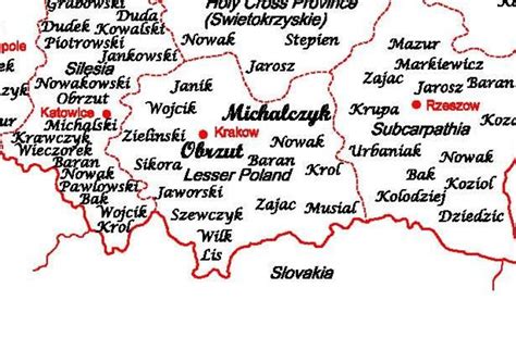 Unique Individual Genealogy Map Of Poland Etsy