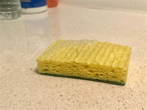 Natural Sustainable Alternatives To Kitchen Dish Sponges