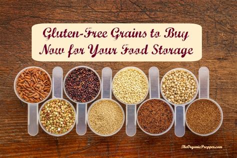 Gluten Free Grains To Buy Now For Your Food Storage