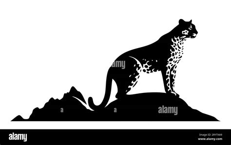 Leopard Silhouette Gepard Panther Black Silhouette On White Background