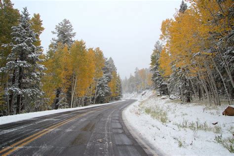 Coconino National Forest Closes Snowbowl Road To Motorized Vehicles KNAU Arizona Public Radio