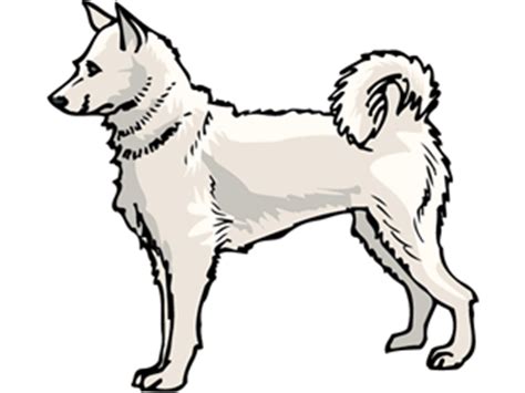 Vette Honden Plaatjes En Voor Jouw Facebook, Hyves Of ...