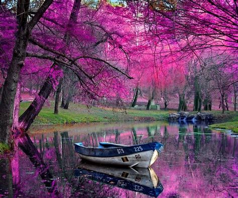 That Color Only Nature Can Do This Amazing Place Beautiful