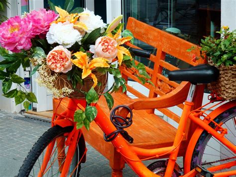 Free Images Plant Wheel Bike Decoration Flora Flowers Floristry