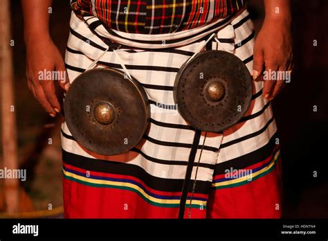 Charibhza Musical Instrument Of Rai Tribe Of Sikkim Tribal Festival