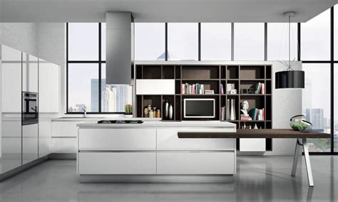 When it comes to cleaning and organizing your home, there is an important part of the. Modern Kitchen Cabinets | European Cabinets & Design Studios