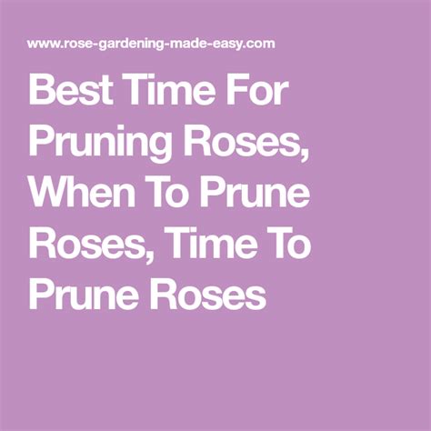 Best Time For Pruning Roses When To Prune Roses Time To Prune Roses