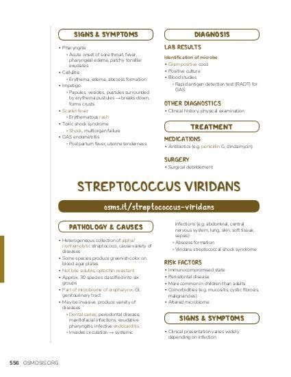 Streptococcus Agalactiae Group B Strep Osmosis