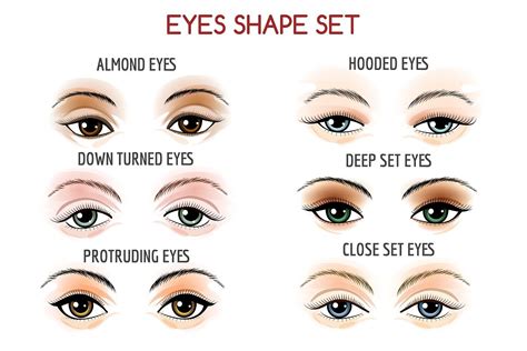 Eyes Shape Set Eye Shape Makeup Applying Eye Makeup Protruding Eyes