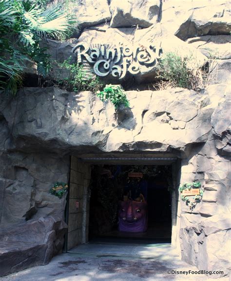 One in the front of the restaurant before you enter ak and if you walk through the gift shop you will see an entrance that goes right into ak. Review: Breakfast at Rainforest Cafe in Disney's Animal ...
