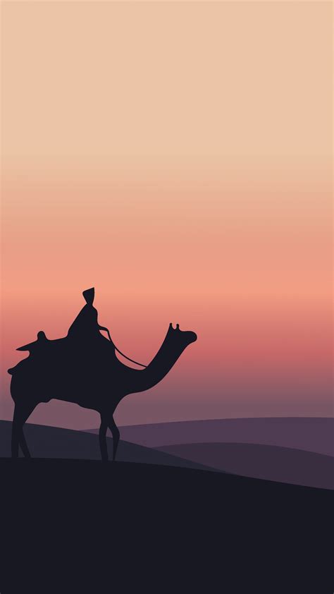 Camel Desert Minimalism Minimalist Artist Artwork Digital Art Hd