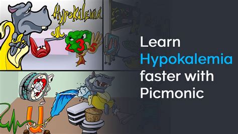 Learn Hypokalemia Faster With Picmonic Nclex Nursing School Youtube