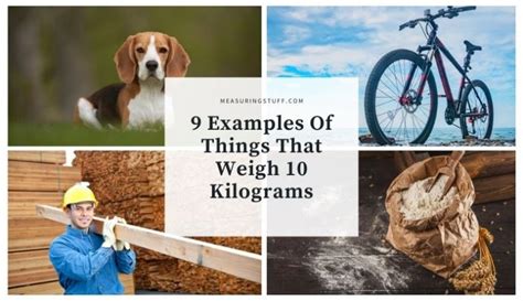 9 Examples Of Things That Weigh 10 Kilograms Measuring Stuff