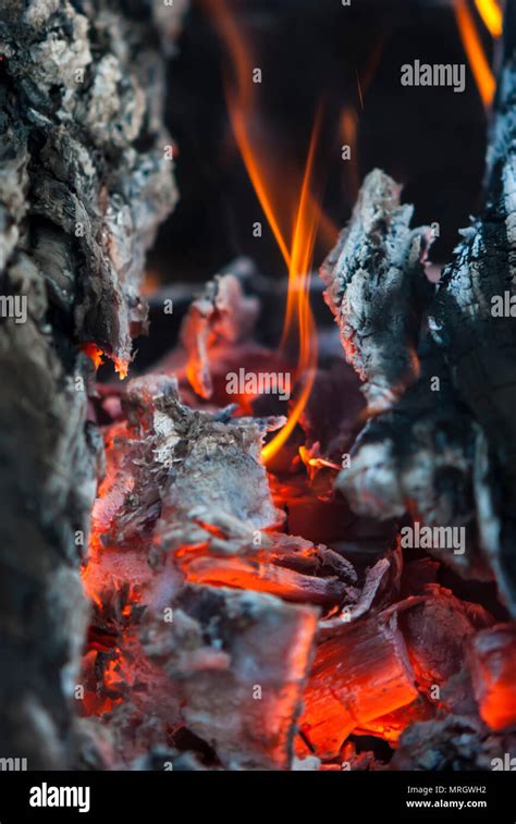 The Burning Charcoal Brightly Burns With Red Fire Stock Photo Alamy