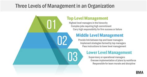 3 Levels Of Management Explained Top Middle Lower Bma