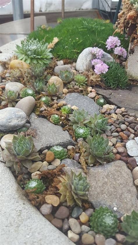 Cool 47 Simple Rock Garden Decor Ideas For Front And Back
