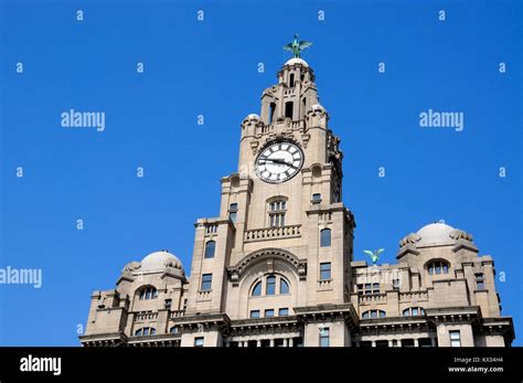 The Royal Liver Building Clock Tower And Liver Bird At Pier Head