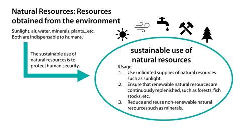 Why Is The Sustainable Use Of Natural Resources Important Renouvo