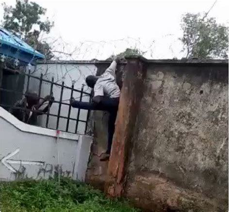 Sad End Unfortunate Thief Trying To Jump A Fence Gets Electrocuted To