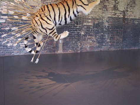 Tigers Arrows And Shadows From Cai Guo Qiangs Exhibit Flickr