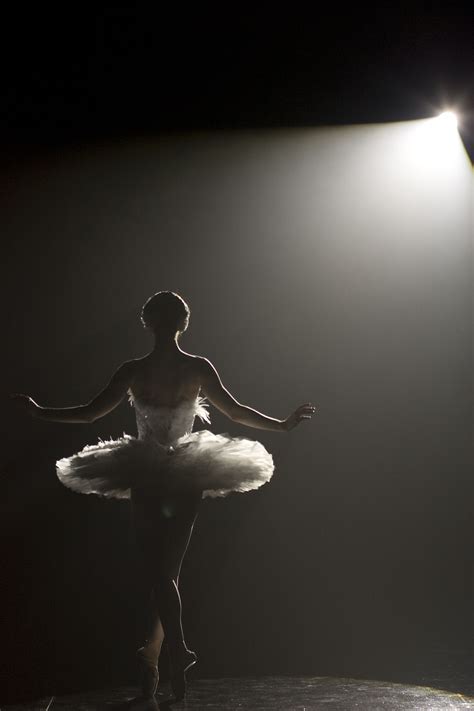 Black Swan Ballet Beautiful Ballet Photography Dance Photography