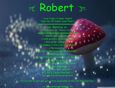 Robert Meaning Of Name