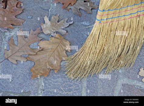 Yellow Straw Broom To Sweep The Leaves Of The Garden Stock Photo Alamy