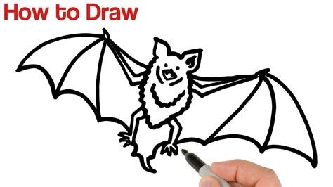 How To Draw A Bat 🦇 Super Easy Youtube