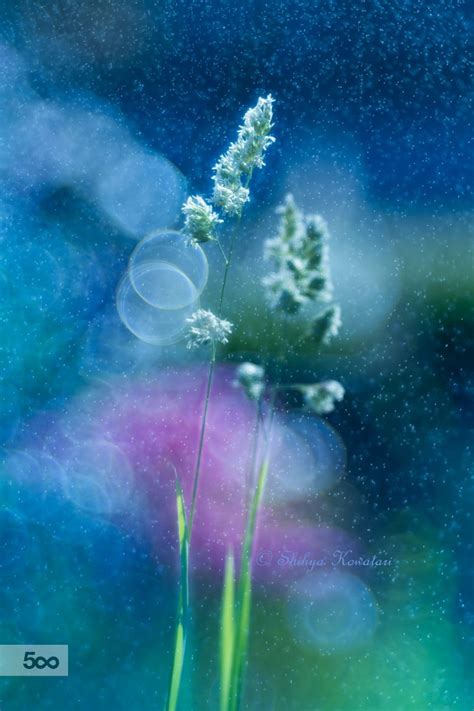 Daydream In Blue Beautiful Nature Daydream Artistic Vision