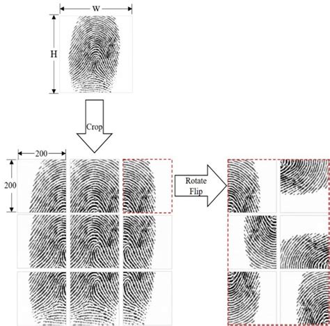 Universal fingerprint minutiae extractor using convolutional neural ...