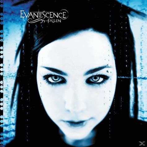 Evanescence Fallen Vinyl Au Meilleur Prix Sur Idealofr