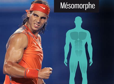 Rafael Nadal Fiche Physique De Rêve Mensurations Morphotype Taille Et