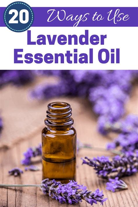 20 Uses For Lavender Essential Oil Lavender Essential Oil Lavender
