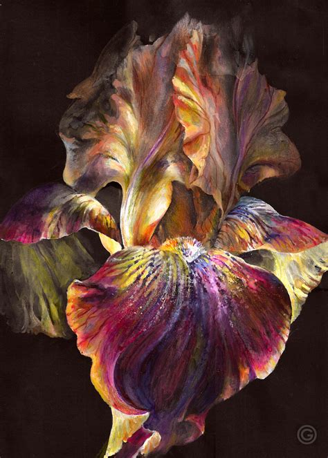 By Oksana Oxygen Gatalskaya Black Canvas Art Iris Painting Flower