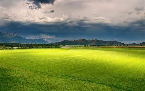 Green Grass Field Under Cloudy Sky Hd Wallpaper Wallpaper Flare