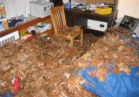 Outrageous College Dorm Pranks Dose Of Funny